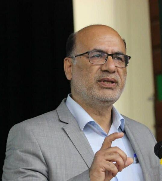 سالانه ۲۵۰ تن محصول کشاورزی در اراضی شیب‌دار ایلام برداشت می‌شود