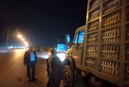 توقیف خودروی حمل مرغ زنده بدون مجوز در قزوین