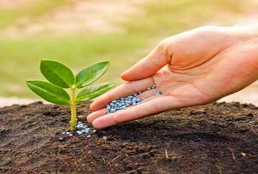 توزیع بیش از 6 هزار تن کود شیمیایی در کازرون 