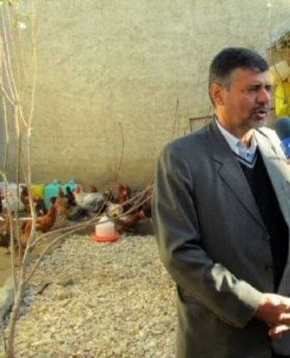 اجرای طرح ملی واکسیناسیون طیور روستایی علیه بیماری نیوکاسل در گلستان