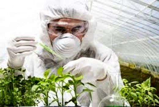 کلینیک‌های گیاه پزشکی، بازوان توانمند حفظ نباتات در تولید محصولات زراعی و باغی