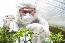 کلینیک‌های گیاه پزشکی، بازوان توانمند حفظ نباتات در تولید محصولات زراعی و باغی