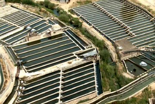 تولید سه هزار و 600 تن ماهی قزل آلا در شهرستان اردل