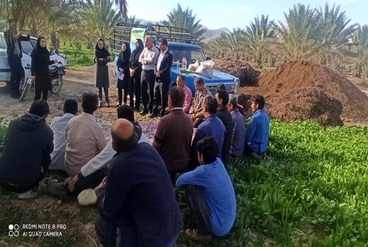 ترویج الگوی کشت در مزارع قیروکارزین با کاروان ترویجی