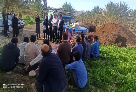 ترویج الگوی کشت در مزارع قیروکارزین با کاروان ترویجی
