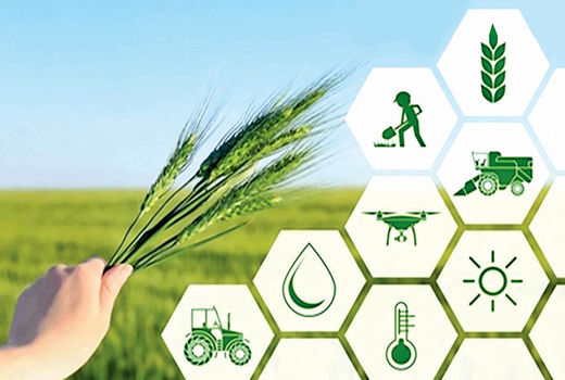 ضعف بودجه اثربخشی بخش کشاورزی را  کاهش داده است