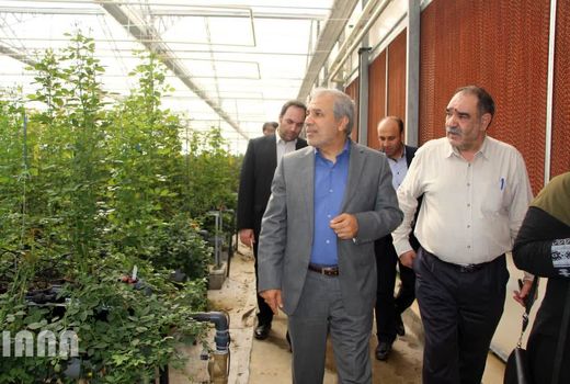 بازدید معاون امور باغبانی وزیر جهادکشاورزی از پروژه های کشاورزی شهرستان پیشوا