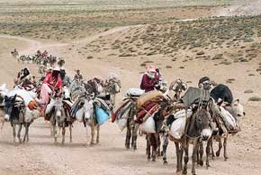 استقرار سامانه‌های استفاده از انرژی خورشیدی در مناطق ییلاقی 