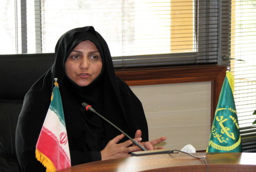 خدمات نظام مهندسی همسو با اهداف جهادکشاورزی است