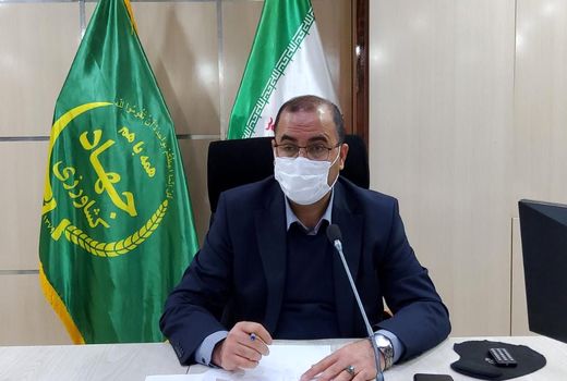 کشت ۱۴۰ هزار هکتار اراضی کشاورزی لرستان به صورت حفاظتی