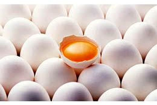 ظرفیت صادرات 1800 تنی تخم مرغ از بابل