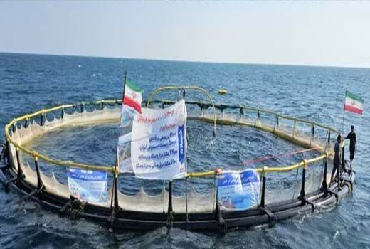 افتتاح مزرعه پرورش ماهی در قفس ۵۰۰ تنی قشم به نمایندگی ۷۶ پروژه شیلاتی هرمزگان