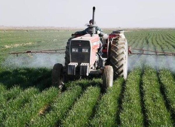 مبارزه با عوامل خسارت‌زا در 143 هزار هکتار مزارع گندم و جو مازندران
