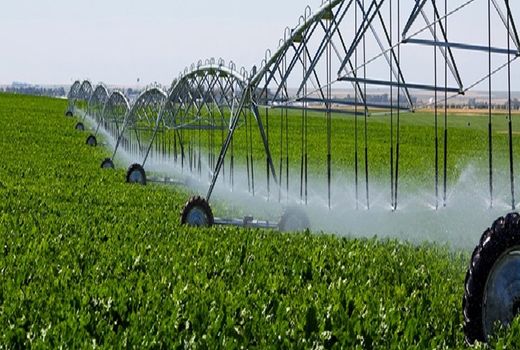  ۸۰ درصد از اراضی کشاورزی چهارمحال و بختیاری به سیستم های نوین آبیاری تجهیز شد 