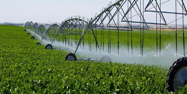  ۸۰ درصد از اراضی کشاورزی چهارمحال و بختیاری به سیستم های نوین آبیاری تجهیز شد 