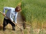 89 درصد بخش زراعت استان اصفهان مکانیزه است