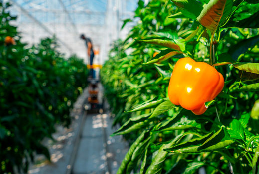 پرداخت بیش از2 هزار میلیارد ریال تسهیلات بانکی درچهارمحال و بختیاری