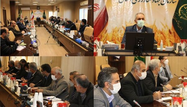 ایجاد قرارگاه امنیت غذایی با محوریت زنجیره ارزش؛ از تامین مواد، تولید، تبدیل و بازاریابی محصولات با اساس کشاورزی قرارداری 
