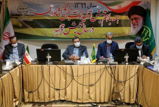 عملیاتی شدن کشت قراردادی کلزا در خوزستان