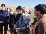 استان کرمانشاه در نوآوری و جهش تولید دیم‌زارها نمونه است