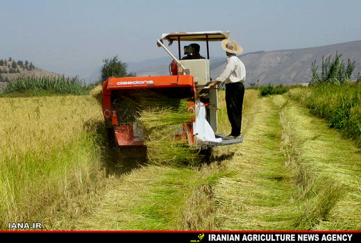 تشکیل کمیسیون ویژه برای سازمان عمران روستایی
