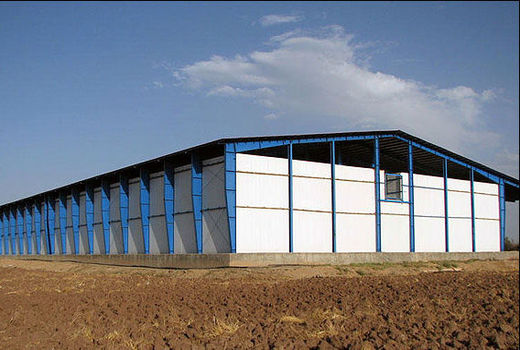 فعالیت ۲۱ واحد سردخانه محصولات کشاورزی در استان قزوین