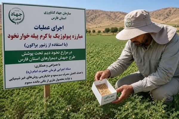 گام تازه فارس برای تولید محصول سالم با مبارزه بیولوژیک در دیمزارها