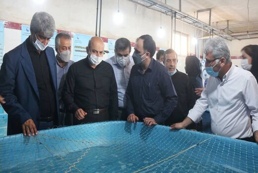 دستیابی به بیوتکنیک بچه ماهی سی باس آسیایی در خوزستان 