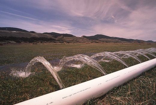 ادعای مصرف 90درصدی آب در بخش کشاورزی، انحراف افکار عمومی است