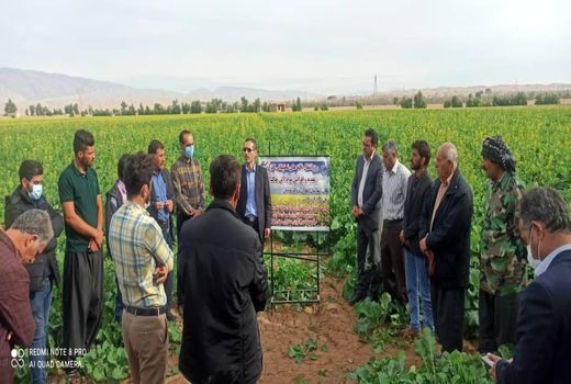 برگزاری رویداد ترویجی در شهرستان دهلران