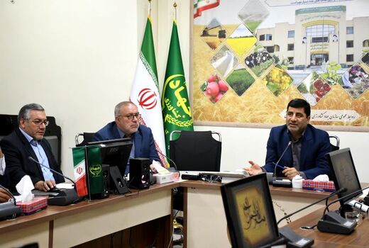 پیش‌بینی تولید 700 هزار تن گندم در آذربایجان شرقی