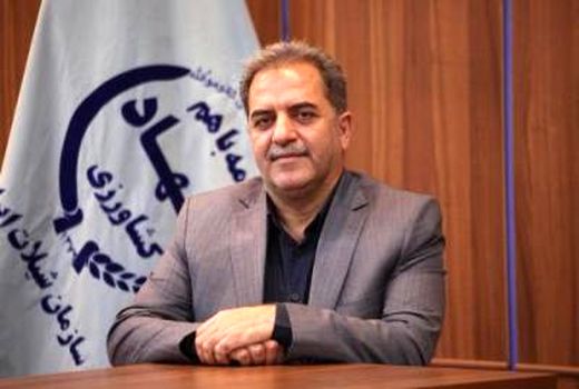 رشد 1200 درصدی میزان سرمایه‌گذاری در زیربخش شیلات 