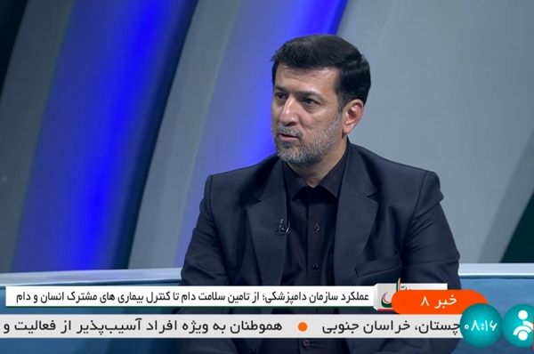 دستاورد مهم سازمان دامپزشکی کشور در رفع ممنوعیت صادرات مرغ به عراق