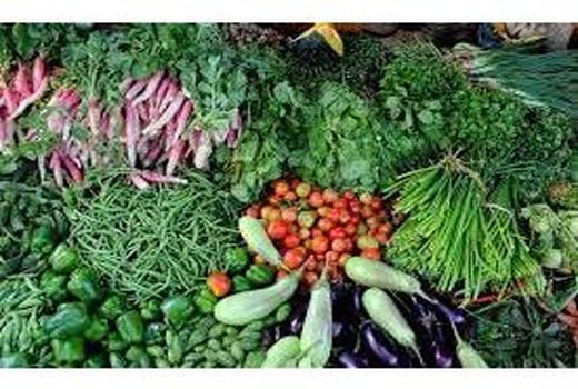 کشت 3900 هکتاری سبزی و صیفی بابل/ پیش بینی تولید 87 هزار تنی