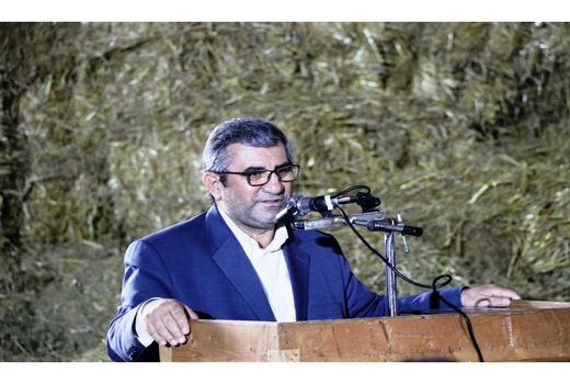 تامین مواد اولیه صنعت دامپروری در مازندران سبب پایداری صنعت دامپروری