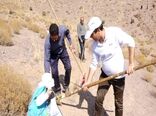 بذر پاشی ۲۳۰ هکتار از مراتع شهرستان بافق 