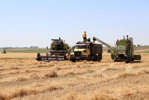  پسماندهای کشاورزی، منابع ارزشمند برای خاک، سوخت و صنعت