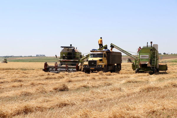 پسماندهای کشاورزی، منابع ارزشمند برای خاک، سوخت و صنعت