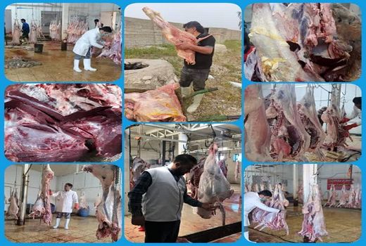 تشدید نظارت های بهداشتی دامپزشکی فارس