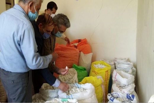 بازار گرم خرید پیله تر در جرگلان 