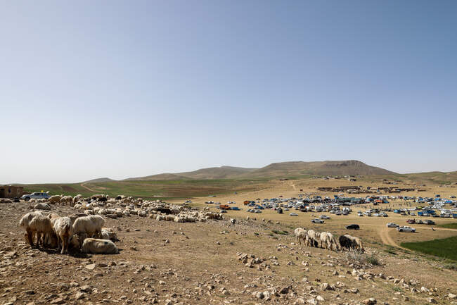  سفر وزیر جهاد کشاورزی به خراسان شمالی 