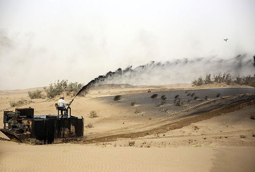 اجرای ۲۹ هزار هکتار عملیات نهال کاری و مالچ پاشی در خوزستان