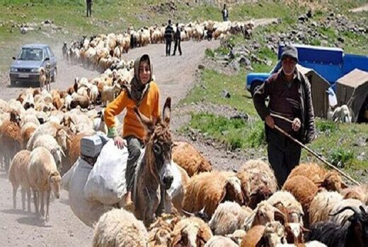  5 هزار خانوار عشایری خراسان‌شمالی راهی ییلاق شدند