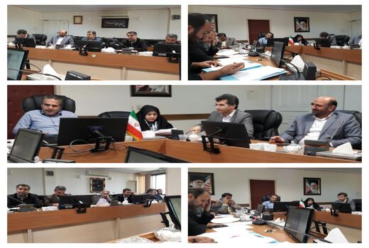 پلاکهای دارای تداخل در شهرستان های ورامین، فیروزکوه و شمیرانات تعیین تکلیف شد
