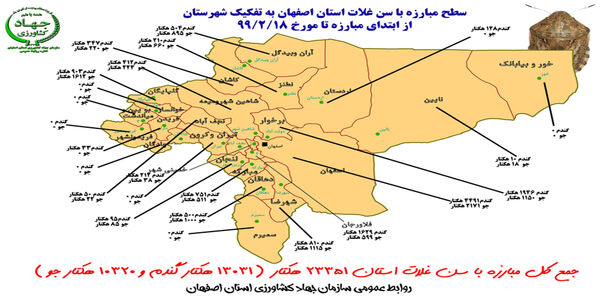 عملیات کنترل سن غلات در استان اصفهان