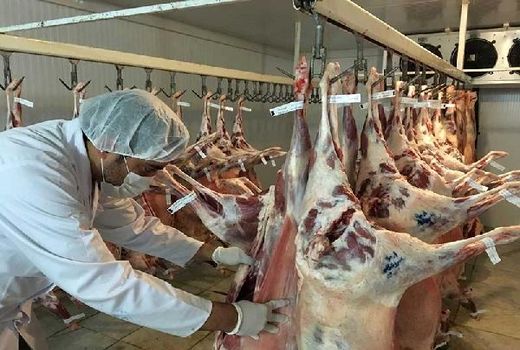 نظارت بهداشتی بر استحصال بیش از 70 هزار تن گوشت قرمز و سفید مرغی در آذربایجان غربی 