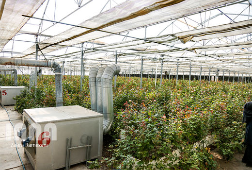 واگذاری شهرک‌های کشاورزی تا پایان سال جاری به 9هزار هکتار می‌رسد