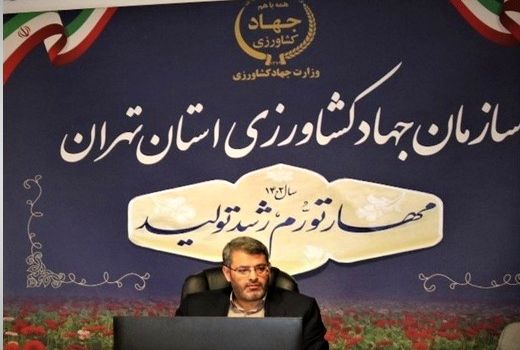 توزیع بالغ‌بر 6 هزار تن شکر در واحدهای صنف و صنعت