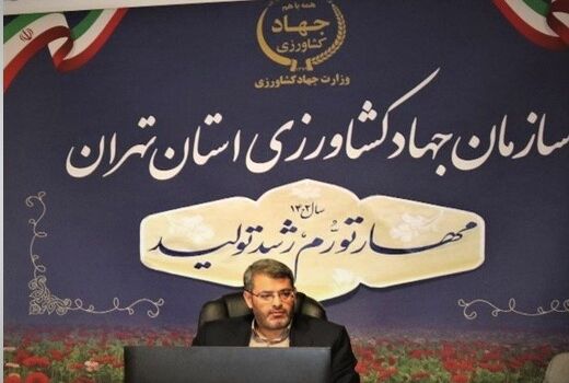 توزیع بالغ‌بر 6 هزار تن شکر در واحدهای صنف و صنعت