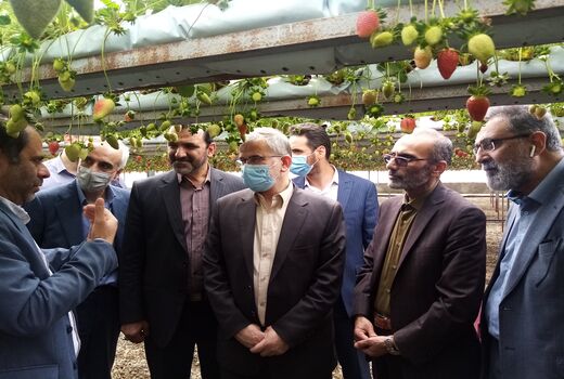بازدید استاندار البرز از واحدهای بخش کشاورزی شهرستان نظر آباد